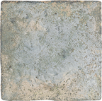 Antica Forest Blank