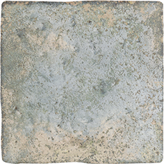 Antica Forest Blank