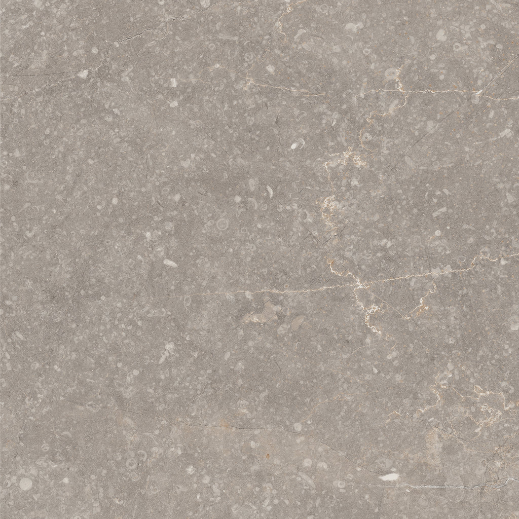 Soft Warm Grey