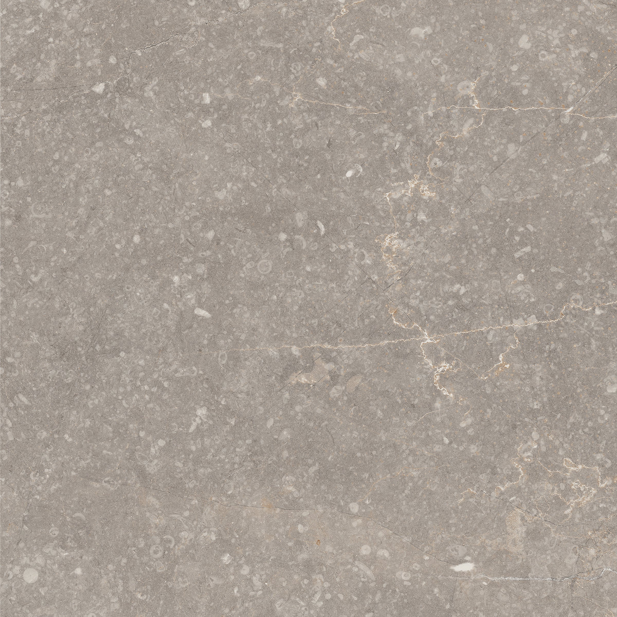 Soft Warm Grey
