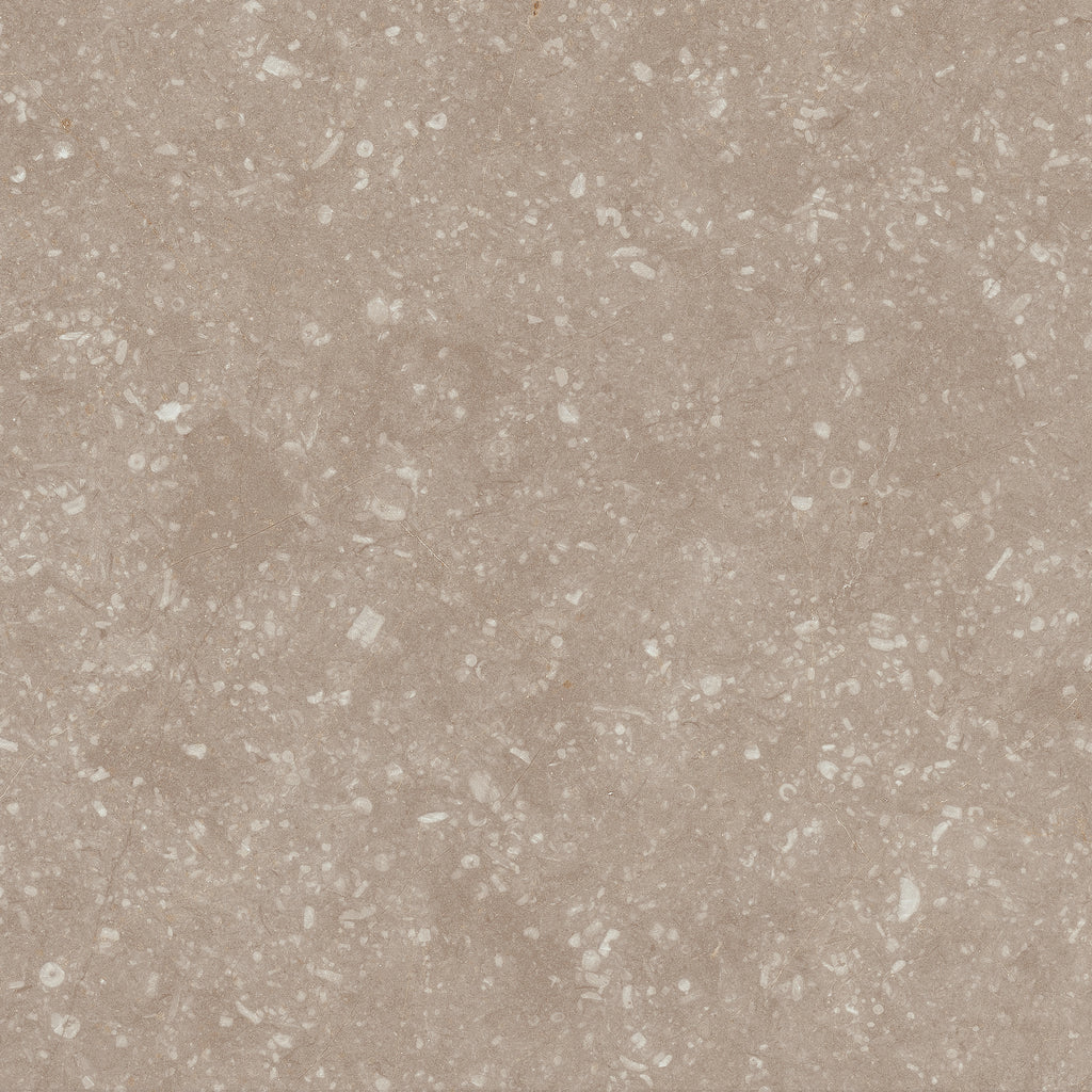 Soft Earth Clay