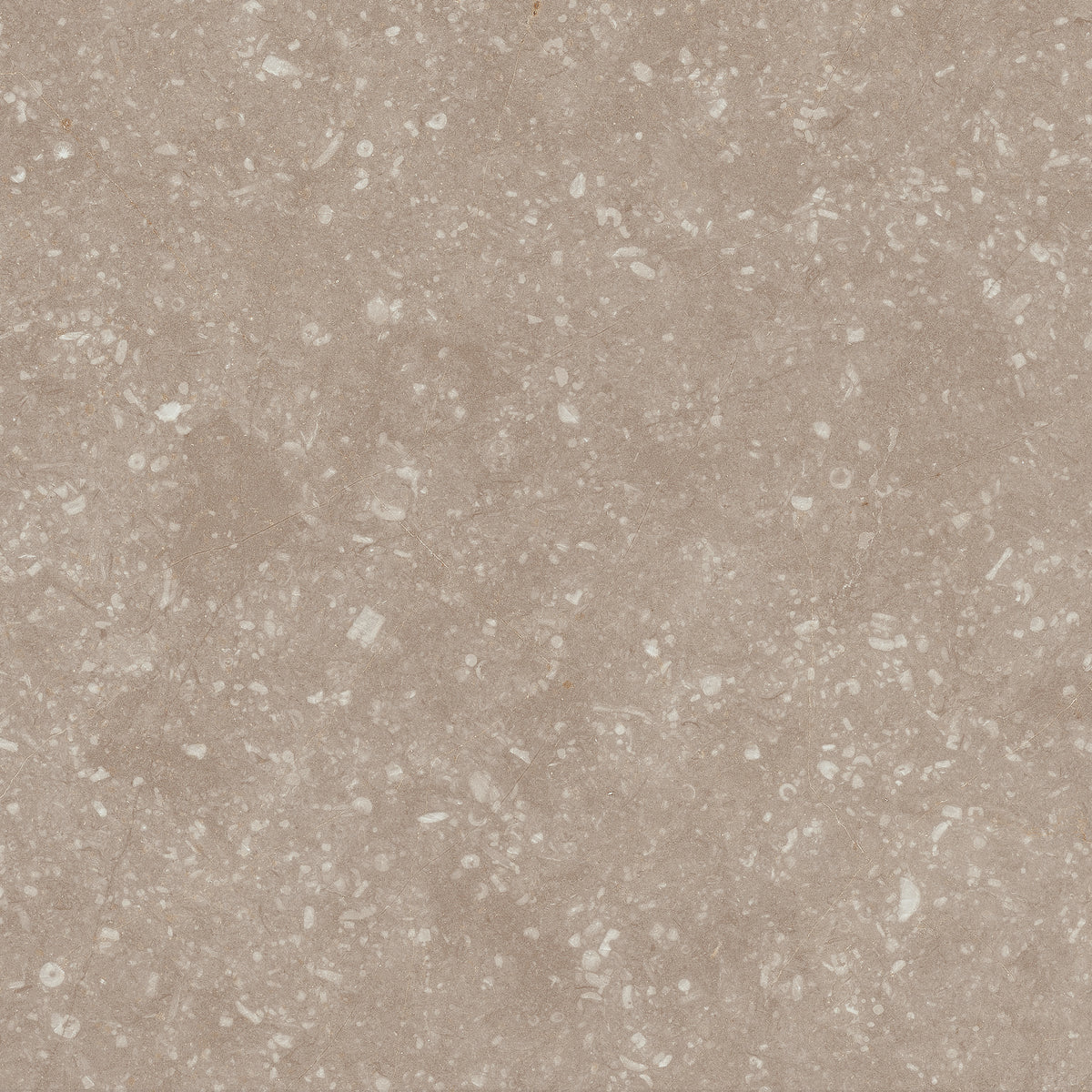 Soft Earth Clay