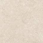 Classica Rosa Perlino