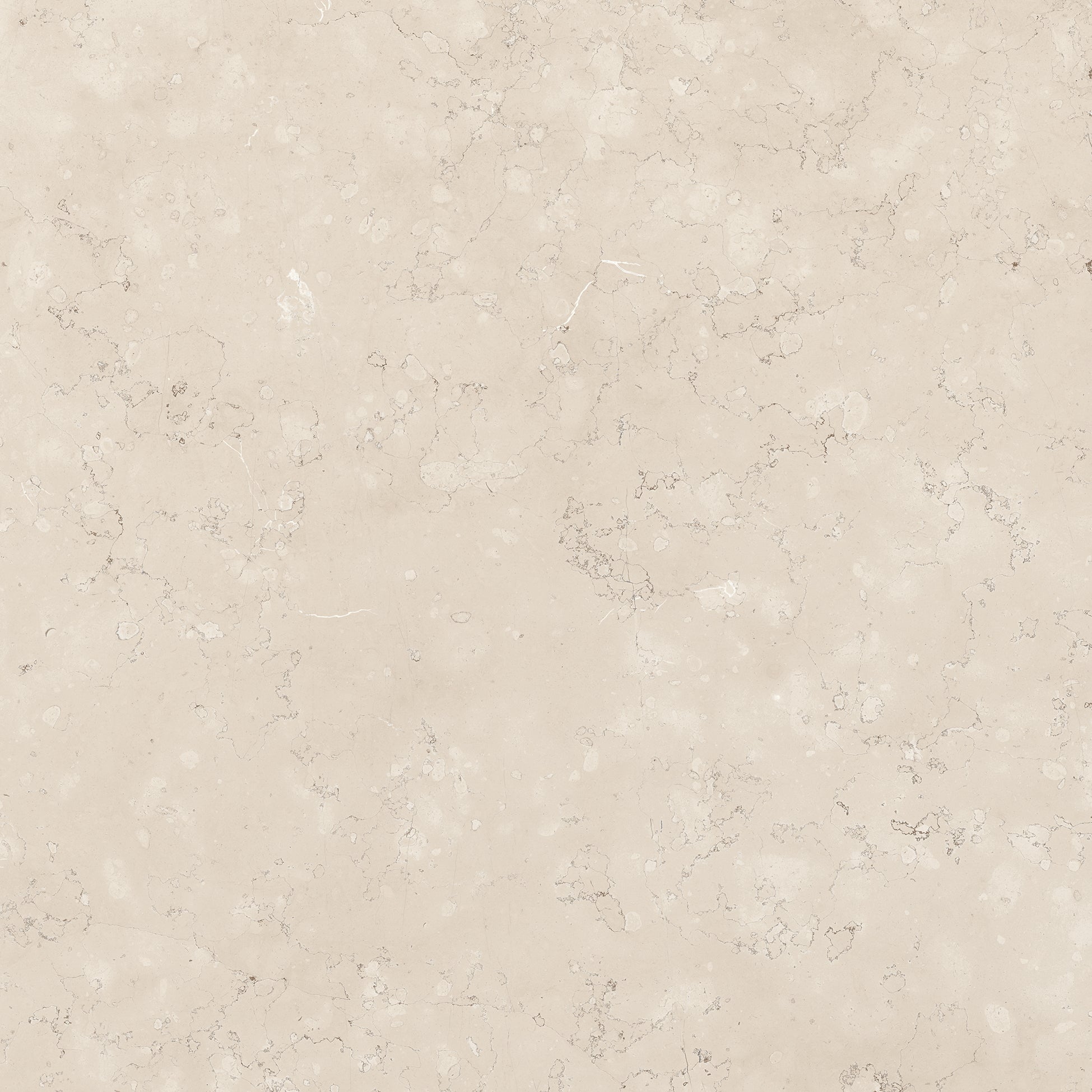 Classica Rosa Perlino