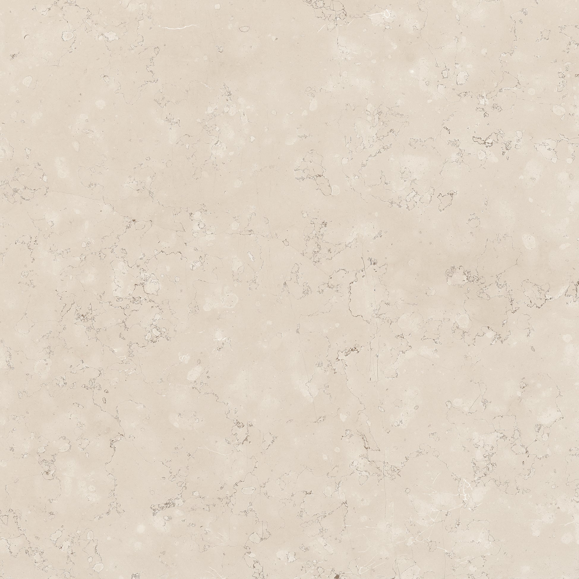 Classica Rosa Perlino