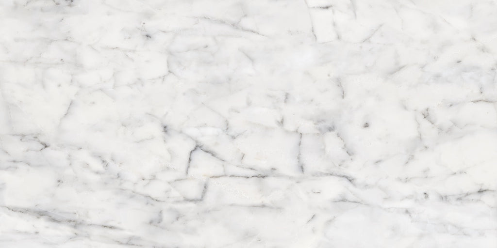Carrara blank