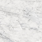Carrara blank