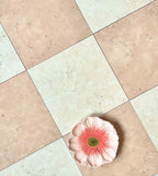 Classica Rosa Perlino