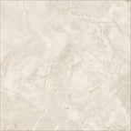 Regal Taupe 23x23