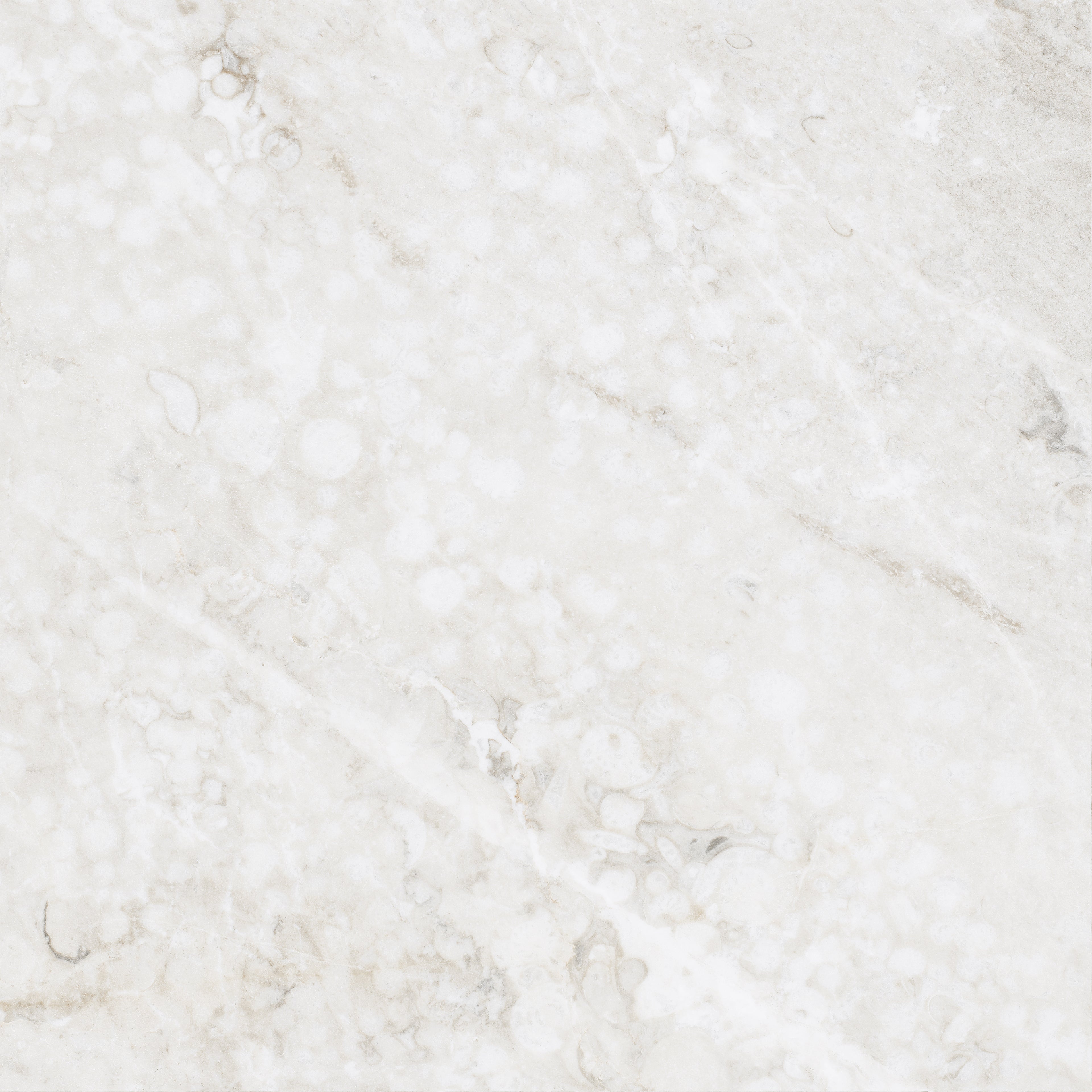 Regal White 23x23